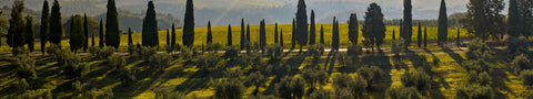 Italien
