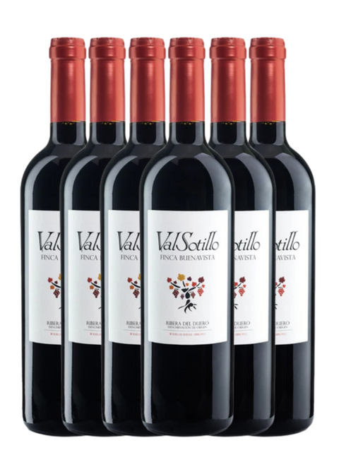 Valsotillo - Ribera del Duero Finca Buenavista 2019 6-pak