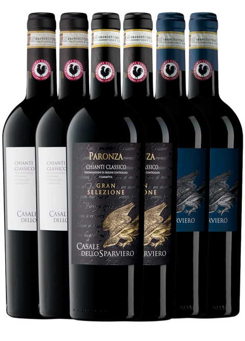 Casale dello Sparviero – Tre niveauer af Chianti