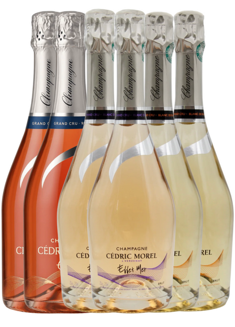 Cédric Morel Champagne - Signaturkasse