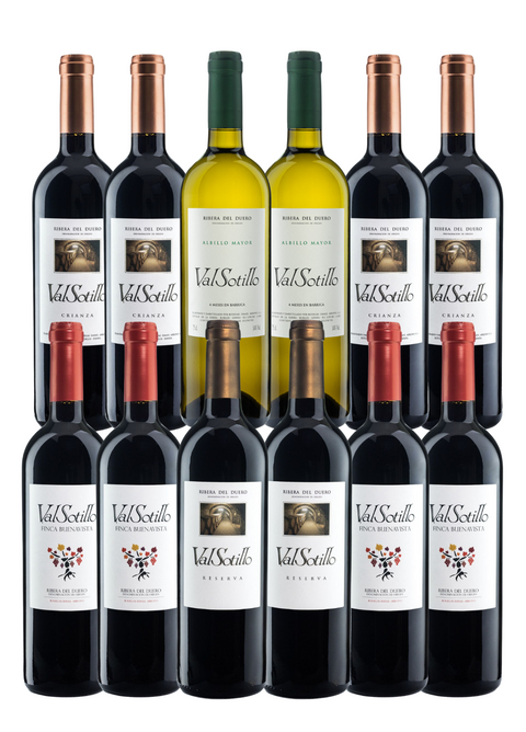 ValSotillo - Ribera del Duero kasse x 12